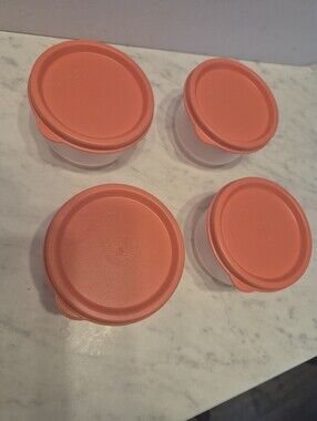 TUPPERWARE  Snack Set 4 Pack